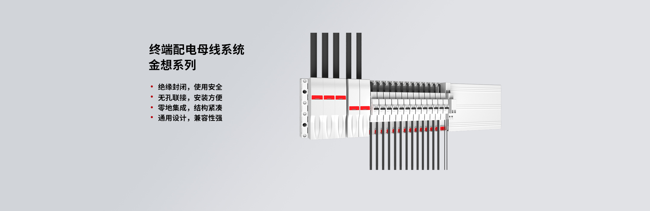 金想第一張.jpg